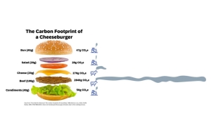 Cheesburger im Dienste des CO2-Abdrucks: CO2-arm, tierleidfrei &amp; im Labor gezüchtet